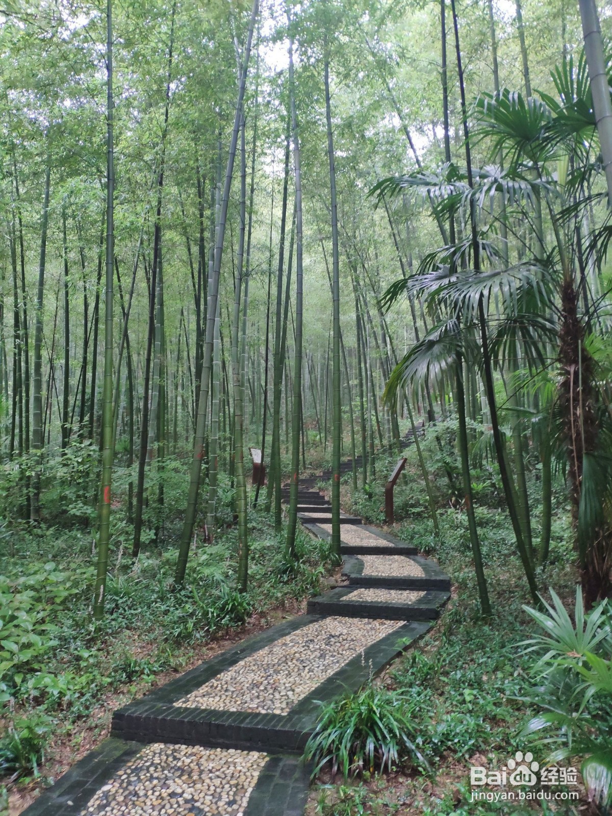 镇江一日游攻略