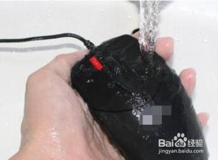 鼠标进水失灵了怎么办