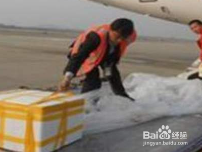 飞机带活螃蟹最佳方法？