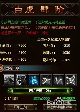 秦美人白虎3阶升4阶要多少威望