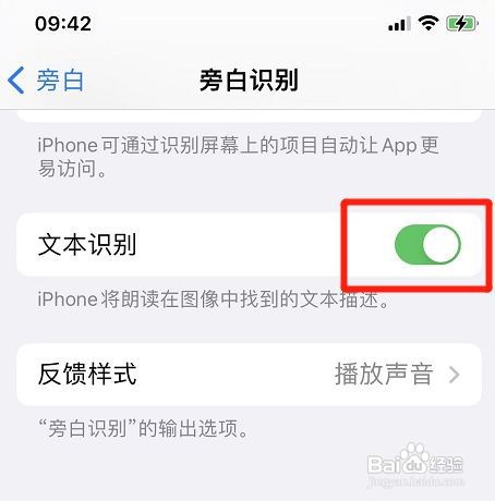 苹果手机旁白在哪设置开启文本识别