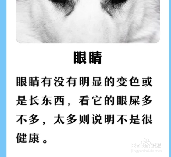 如何判断狗狗是否健康