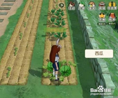 小森生活游戏种西瓜应该怎么种植