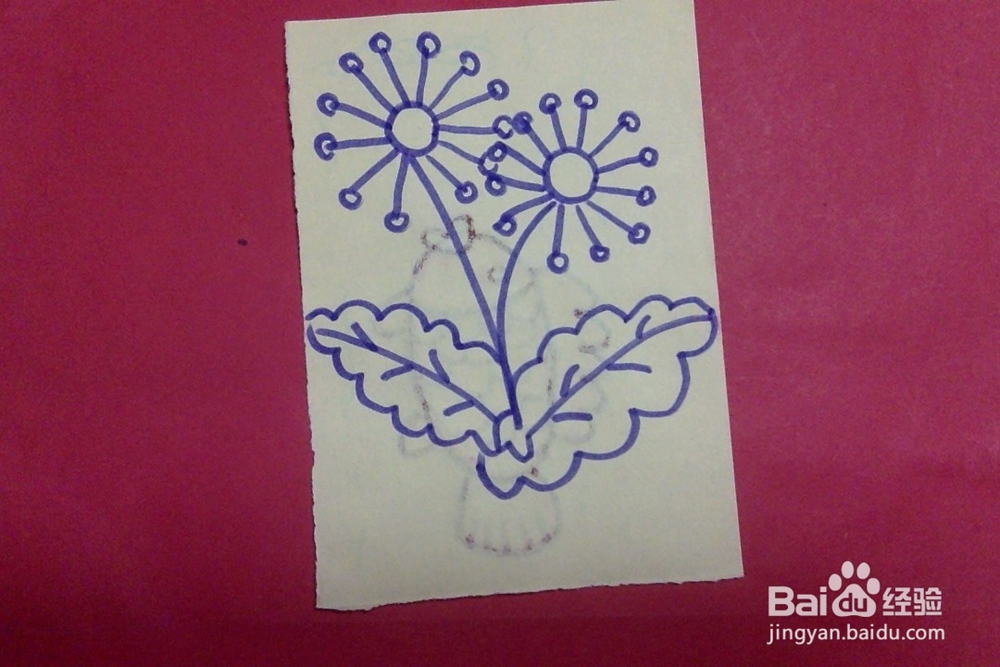 简笔画怎么画花朵儿的画法儿童入门 十四