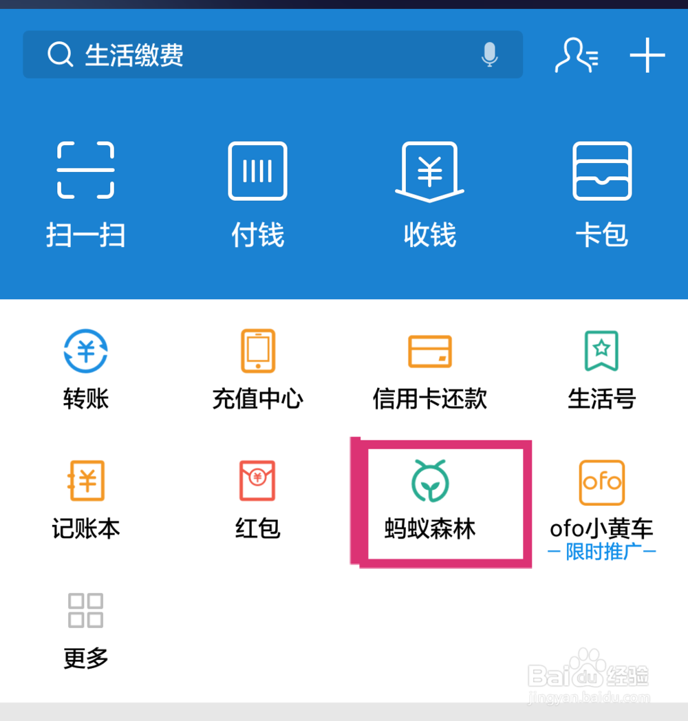 蚂蚁森林攻略