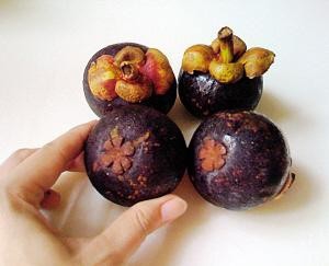 怎么挑山竹好吃