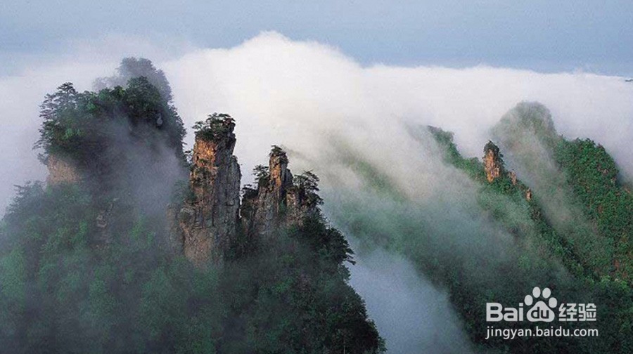 张家界游玩定制,原来大家都是这么玩的!