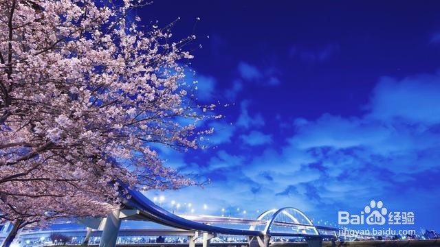 全球最富城市排行 中国没上榜迪拜不是第一