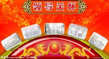 见习期工作总结怎么写