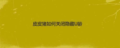皮皮猪如何关闭隐藏U龄