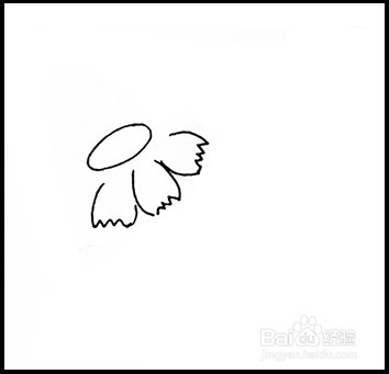 怎样画简笔画（花卉）：[8]菊花1