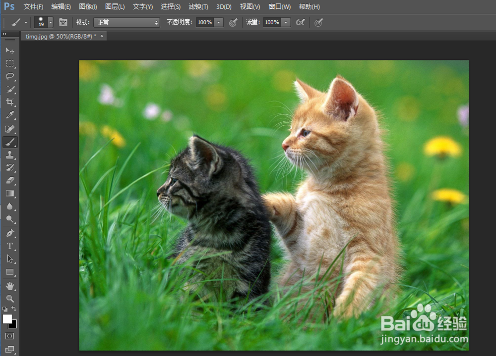 怎么使用PS中的快速蒙版？