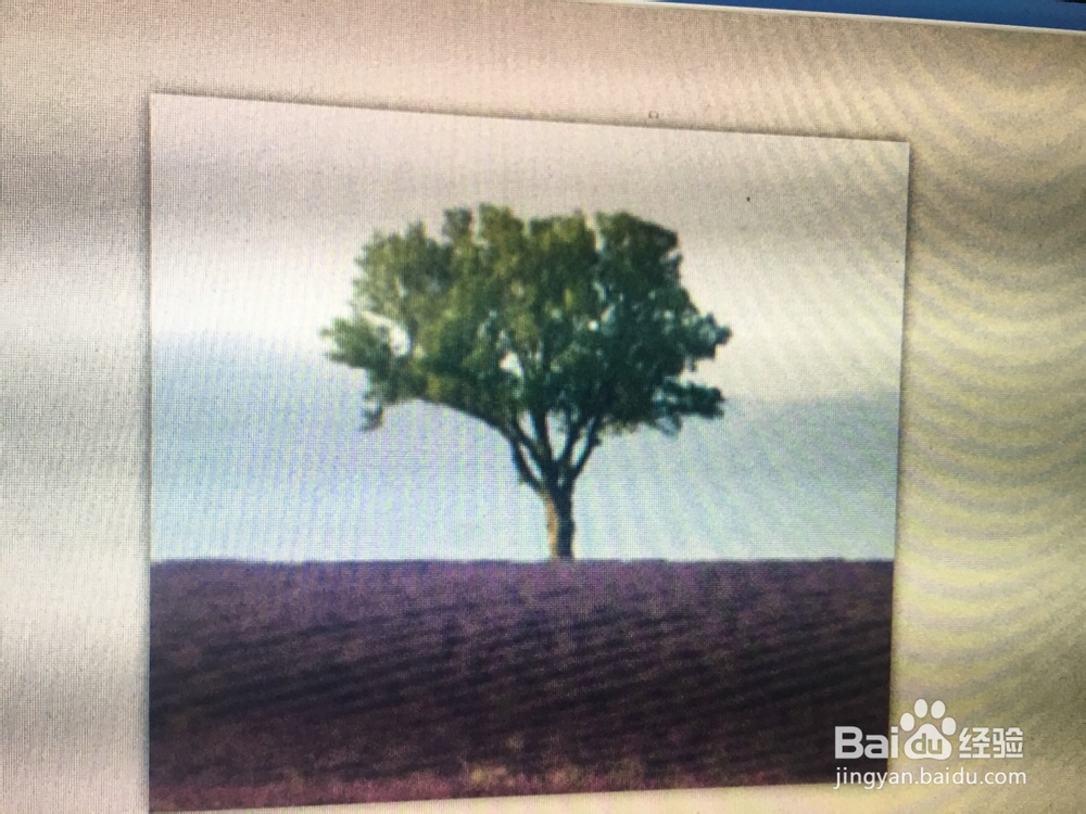 如何进行电脑快速接截屏