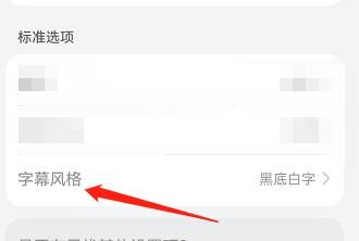在哪里可以修改手机字幕的字幕风格