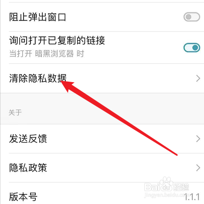 怎么清理Dark Browser的Cookie数据