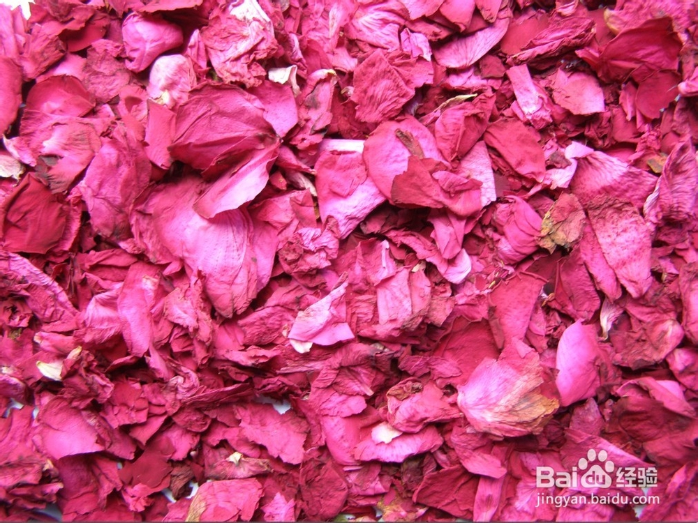 情人节过后玫瑰花的利用技巧