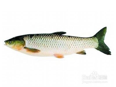 痛风患者生活中应该注意什么