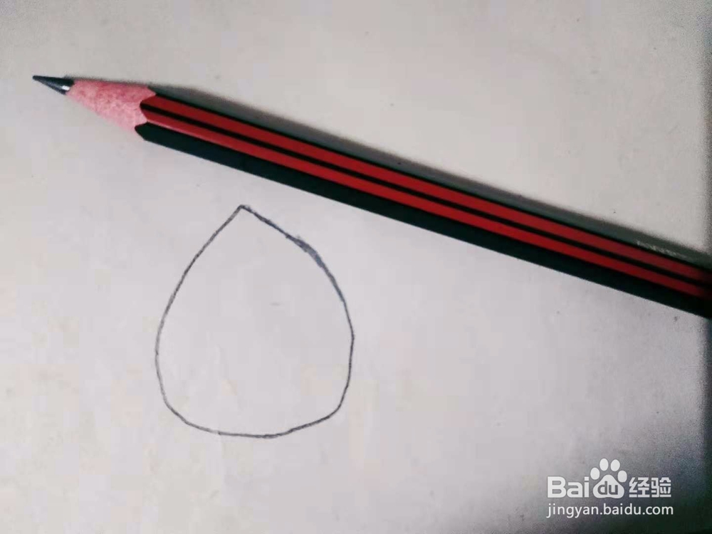 大蒜怎么画