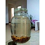 与荨麻疹一起生活 怎样治疗荨麻疹