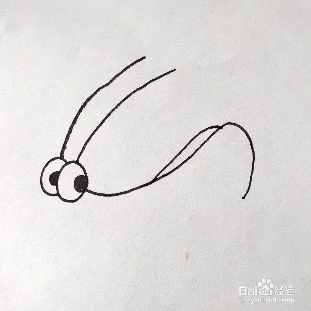 如何画一只有趣的蚱蜢/蝈蝈卡通简笔画