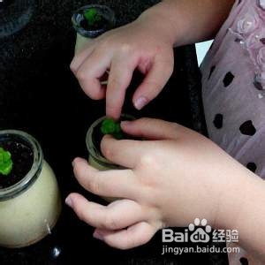 如何制作香蕉奶昔盆栽