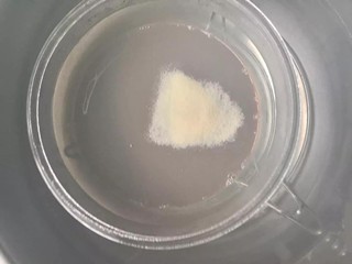 沙皮狗慕斯蛋糕怎么做？