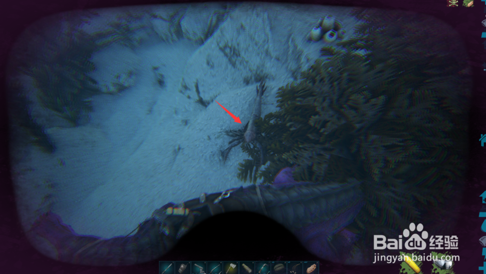 方舟生存进化仙境珍珠怎么获得