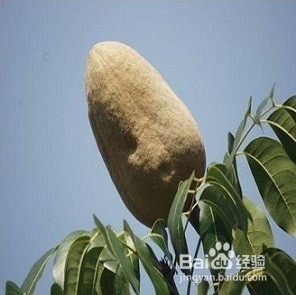 中老年人有效补钙的方法