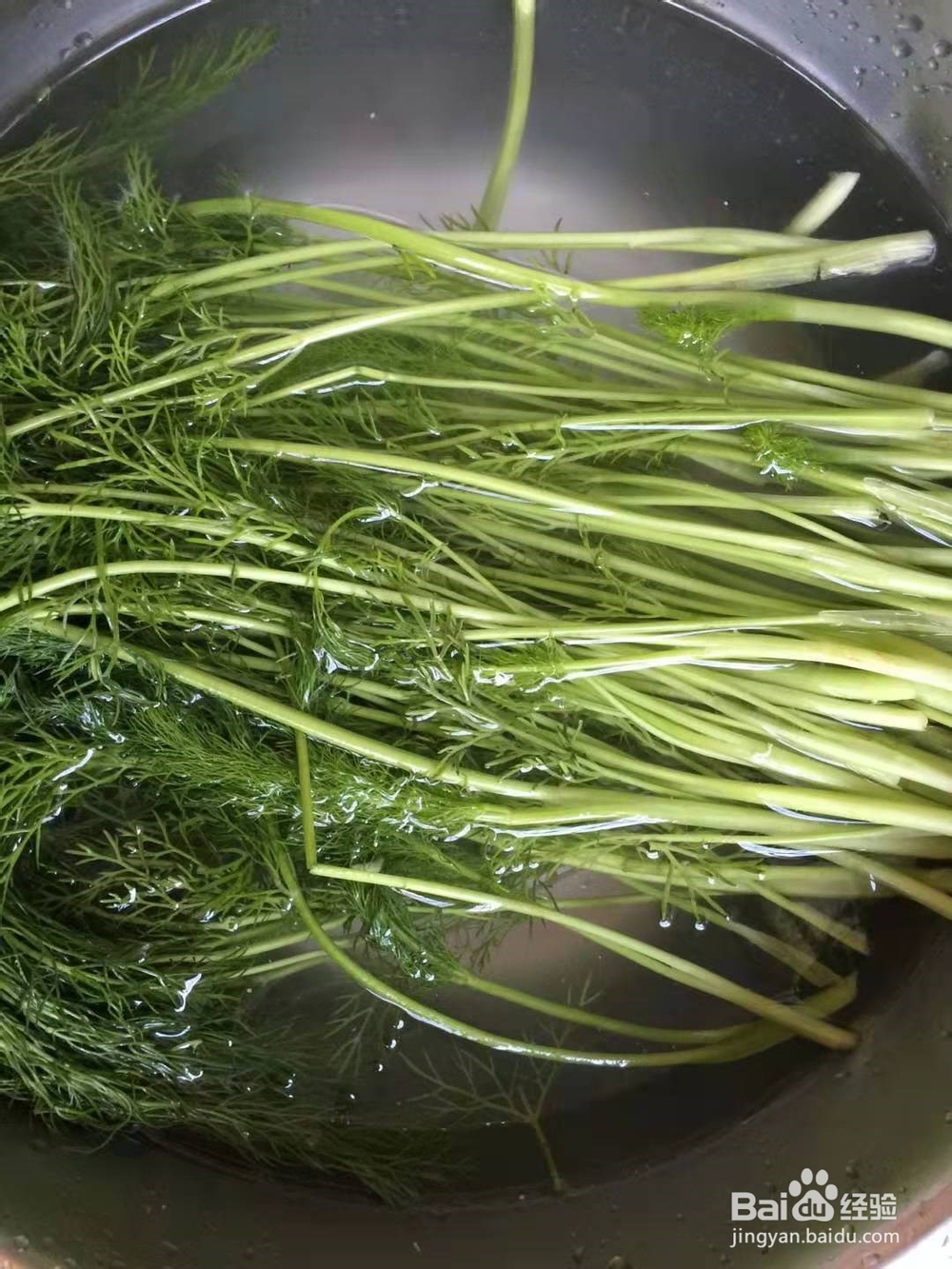 美味的茴香猪肉水饺的做法