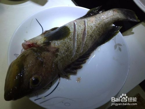 清汤石斑鱼简单做法