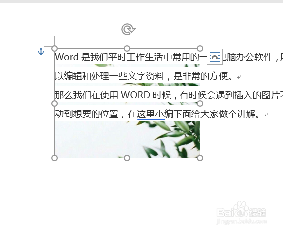 Word文档里的图片怎么随意移动位置