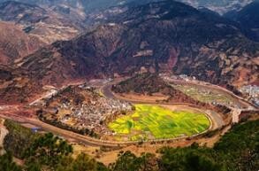 赏樱花赏银杏—赏醉美云南