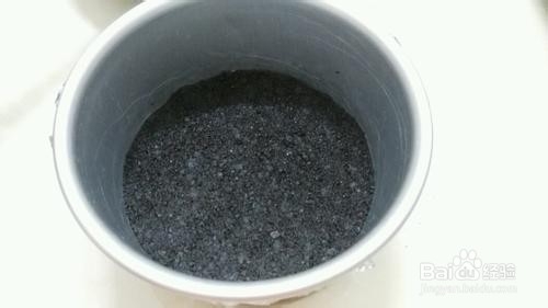 蓝莓冻芝士蛋糕