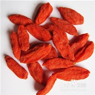 枸杞子高产育苗技术