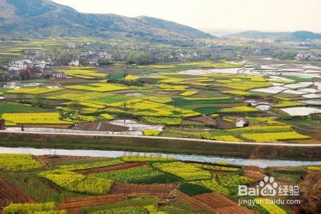 旅游达人喜讯-中国最美村镇揭晓：[1]典范奖