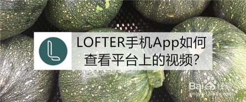 LOFTER手机App如何查看平台上的视频？