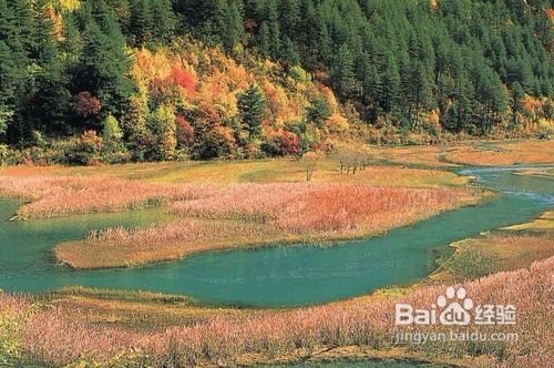 从成都怎么到稻城亚丁