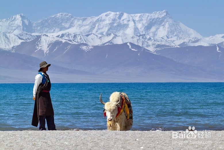 纳木错，腾格里海，天湖尽景观特色