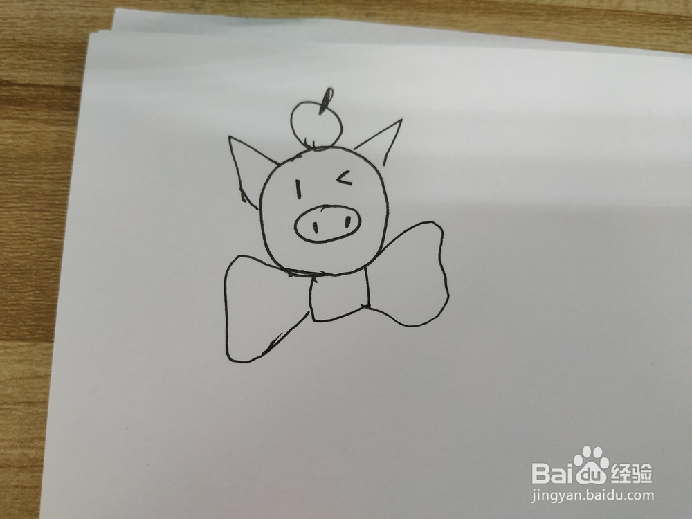 蝴蝶结可爱小猪简笔画怎么画,怎么画小猪