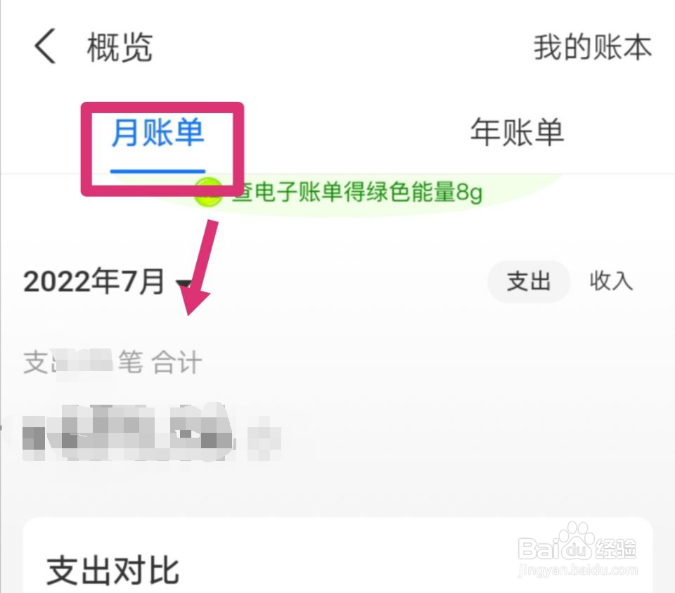 怎么查看支付宝这个月花了多少钱