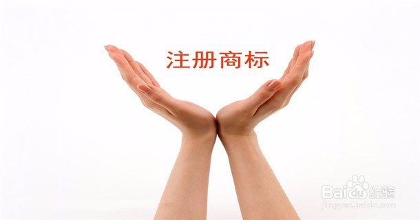 山东商标办理流程及费用