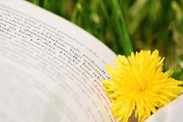 生活百般之味……人生需要笑对的下一句是什么