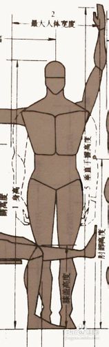 人体工程学——人体与室内