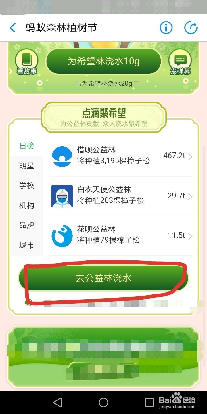 手机支付宝怎么参加植树活动怎么领活动奖励