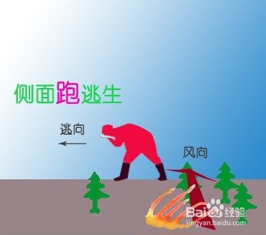 发现森林火灾或草原火灾怎么办