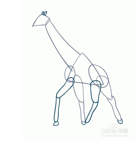 如何画长颈鹿?