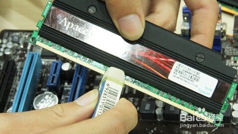 电脑显示器不显示