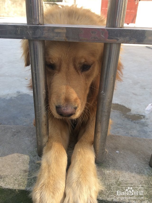 西塘旅游小攻略——细品西塘,别样江南