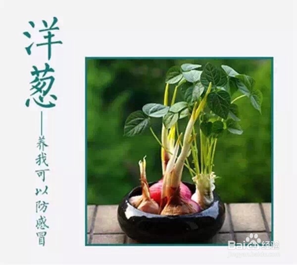 厨房剩菜怎么处理厨房剩菜如何有效利用