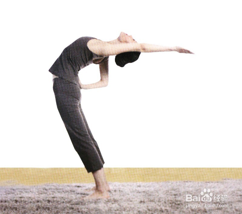 脊椎后弯式（正位）